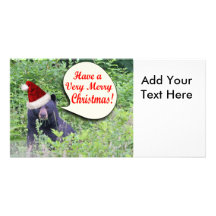 Santa Bear Picture Card