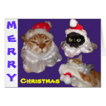 Santa Cat Christmas Card