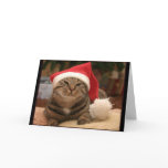 Santa Cat Greeting Card