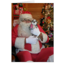 Santa & Chihuahua cards