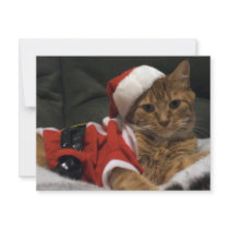 Santa Claws Invitations