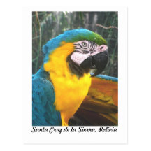 Santa Cruz Bolivia Postcard