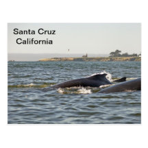 Santa Cruz, CA Humpbacks at Lighthouse Postcard