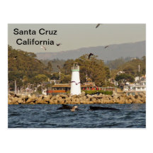 Santa Cruz, California Humpback Whales Postcard