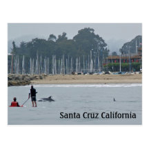 Santa Cruz California Postcard