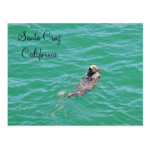 Santa Cruz, California Sea Otter Postcard