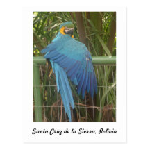 Santa Cruz de la Sierra, Bolivia Post Card