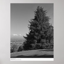 Santa Cruz from Campus, April 1967 Poster