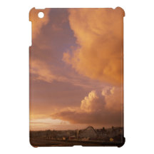 Santa Cruz ipod mini case iPad Mini Cover