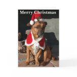 Santa Dog Cards