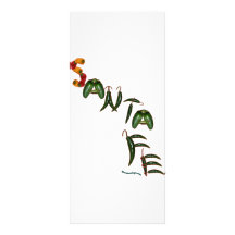 Santa Fe Chili Peppers Custom Rack Card
