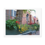 Santa Fe Summer Flowers Postcards