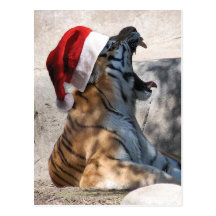 Santa Hat Bengal Tiger Post Cards