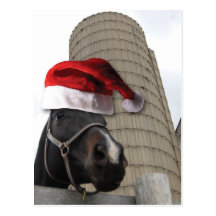 Santa Hat Horsey Postcard