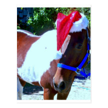 Santa Horse Post Cards