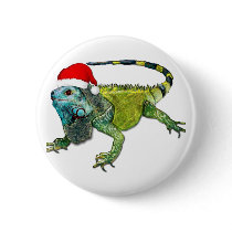 Santa Iguana