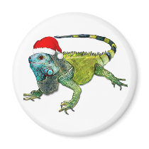 Santa Iguana
