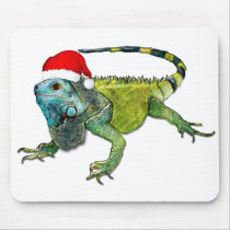 Santa Iguana