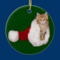 Santa Kitten Christmas Ornament ornaments