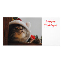Santa Kitty, Happy Holidays! Photo Cards