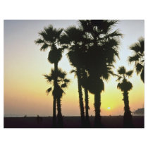 Santa Monica, Los Angeles, California, U.S.A. Flyer