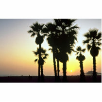 Santa Monica, Los Angeles, California, U.S.A. Photo Cutout