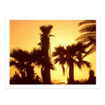Santa Monica Sunset Post Card