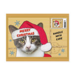 Santa Paws postcards