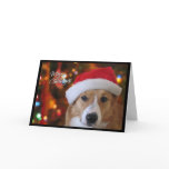 Santa Pembroke Welsh Corgi Christmas Card