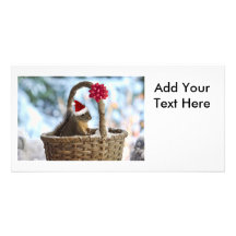 Santa Squirrel in Snow Customized Photo Card