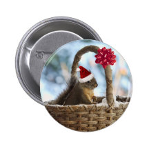 Santa Squirrel in Snow Pins