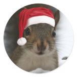 Santa Squirrel stickers