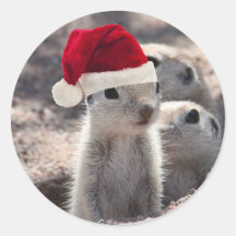 Santa Squirrel Stickers
