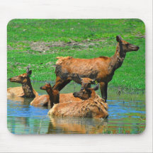 Santa's Crew On Vacation Mousepad