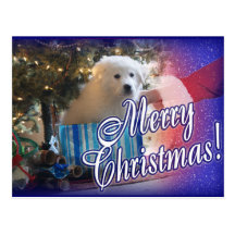 SANTA'S GREAT PYRENEES CHRISTMAS PUPPY GIFT POST CARDS