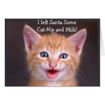 Santa's Snack - Designer Christmas Greeting Card