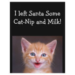 Santa's Snack - Designer Flyer For Pet Care