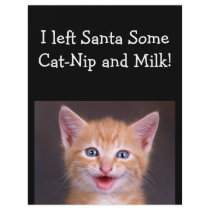Santa's Snack - Designer Flyer For Pet Care