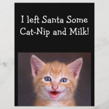 Santa's Snack - Designer Flyer For Pet Care
