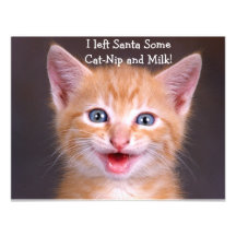 Santa's Snack- Designer Invitation