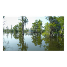 Santee Secrets - Photo Print