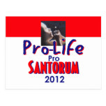 Santorum PROLIFE Post Card