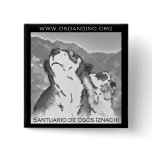 Santuario de Osos Iznachi - Broche buttons