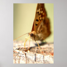 sap sucker print