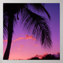 sapphire palm print