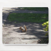 Sarah Tapis De Souris