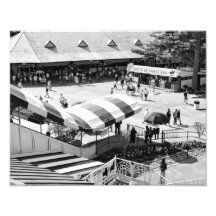 Saratoga Race Course Photograph