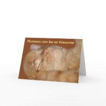 Sarcastic Cat Valentine's Day Card