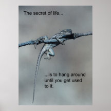 Sarcastic Lizard Secret of Life Print