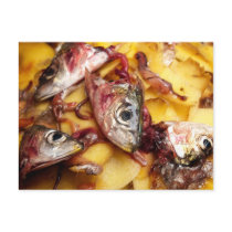 Sardine heads postcards